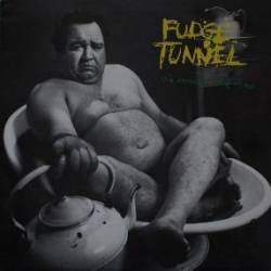 Fudge Tunnel : The Sweet Sound of Excess